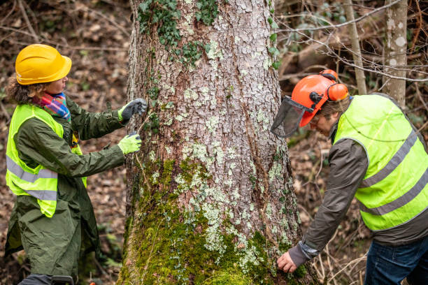 Best Tree and Shrub Care  in Ligonier, IN